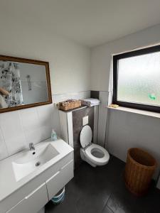 a bathroom with a sink and a toilet and a window at Saarlouis2 in Saarlouis
