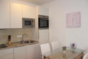 Kuchyňa alebo kuchynka v ubytovaní Apartment Penga