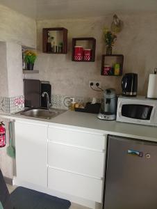 a kitchen with a microwave and a sink at Mini gite 1à4 personnes Studio 7 in Gelles