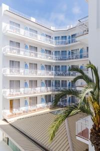 a large white building with blue balconies and a palm tree at Hotel Miami Calella in Calella