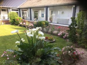 a garden with white flowers in front of a house at "Les Charmilles" - Maison de charme dans un ancien cloître in Sailly-Flibeaucourt +10 photos