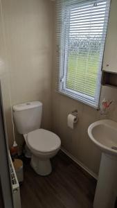 a bathroom with a toilet and a sink at The Speculation Inn - 3 Bedroom Static Caravan in Pembroke +11 photos