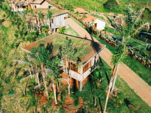 an aerial view of a house with palm trees at Ibiti Village in Lima Duarte