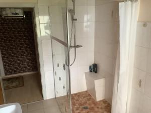 ein Badezimmer mit Dusche mit Glastür in der Unterkunft Edoris in Kraichtal