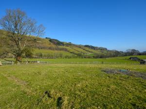a field of grass with a tree and a hill at Creyr Glas Pod -Uk41796 in Hirnant