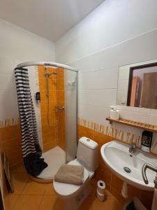 a bathroom with a shower and a toilet and a sink at Penzion U Peňázů in Tři Studně +61 photos