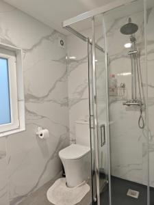 a bathroom with a toilet and a glass shower at Marca 34 in Monção +26 photos