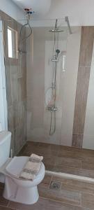 a bathroom with a shower with a toilet and a shower at Kosta Villa Alykes in Lefkimmi