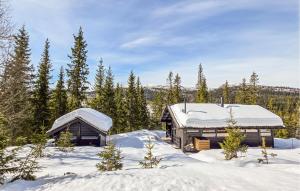 two wooden cabins in the snow with trees at Amazing Home In Eggedal With Wifi in Eggedal