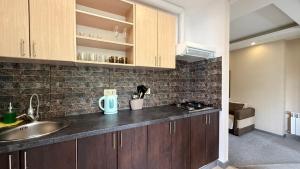 a kitchen with a sink and a counter top at Calm Central Apartment in Kharkiv +54 photos