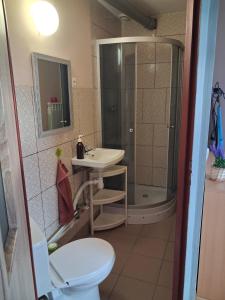 a bathroom with a shower and a sink and a toilet at Przystanek Kraszczady in Krasnystaw
