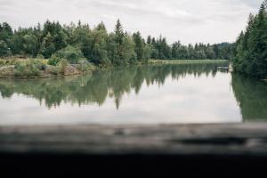 a view of a river with trees in the background at Klostermaier Hotel & Restaurant in Icking