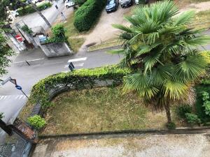 an aerial view of a palm tree and a street at Residenza Thiene Centro in Thiene