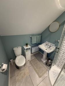 a bathroom with a toilet and a sink at The Hilltop Hideaway in Enniskillen +4 photos