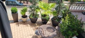 a patio with potted plants and a table and chairs at Appt vue parc, avec terrasse in Châtel-Guyon