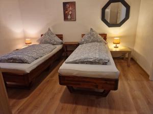 two twin beds in a room with a mirror at Lemone in Zweibrücken
