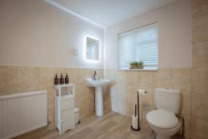 a bathroom with a toilet and a sink at Plasbach Cottage in Llandeilo +40 photos