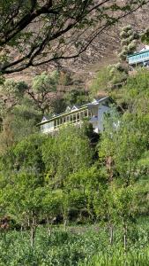 a house on top of a hill with trees at Finding Clover in Banjār