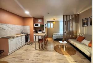 a small apartment with a kitchen and a living room at Appartement Grenouillit, hyper centre du Puy in Le Puy-en-Velay