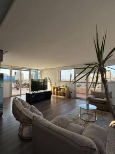 a living room with a couch and a palm tree at Zenith Cairo Deluxe Room Shared Apartment in Cairo