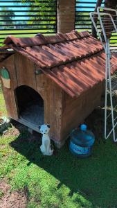 a small dog sitting in front of a dog house at finca granja la soñadita in Santiago del Estero
