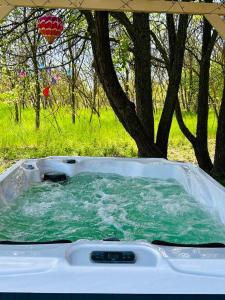 a jacuzzi tub with green water in front of a tree at Varázslakos Tanya in Soltvadkert +81 photos