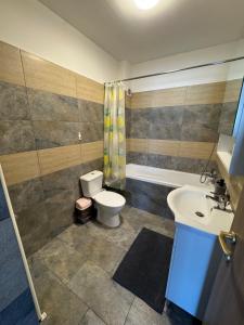 a bathroom with a toilet and a sink at Bounty Home in Bistriţa