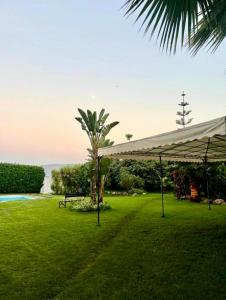 a pavilion with a palm tree in a park at Peaceful Haven with Pool, Breathtaking View in Oued Laou