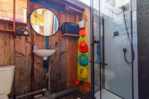 a bathroom with a shower and a toilet and a sink at Logement Bourbon - coeur Ardèche in Lamastre