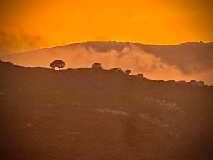 a sunset over a hill with a tree on it at Casa Chula Estudio in Jimena de la Frontera