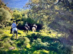 a group of people riding horses on a hill at Casa Chula Estudio in Jimena de la Frontera +16 photos