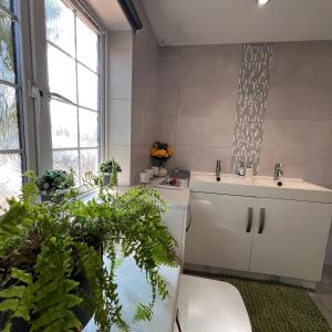 a bathroom with a sink and a mirror at Spacious King En Suite in St. Albans