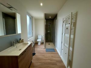 a bathroom with a sink and a shower and a toilet at L'Apparth, maison partagée 7 chambres in Parthenay