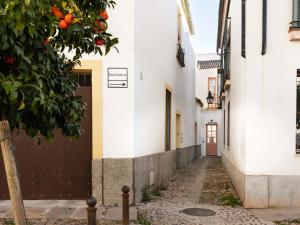 an alley with orange trees and white buildings at Cordoba Calle Pozanco in Córdoba