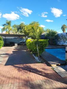 a palm tree sitting on a brick walkway next to a pool at The wood Guest house in Pretoria
