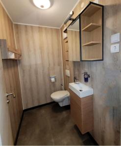a bathroom with a toilet and a sink and a mirror at APARTMENTHAUS "AM KORNFELD" - 10 Gästewohnungen mit 1-3 Schlafzimmern, 40 Betten, Raucherbalkon, Reinigungs- & Wäscheservice, Grillgarten, Parkplatz in Lünen