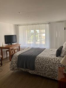 a bedroom with a bed and a desk and a television at Sci Licorne d Or in Saint-Méloir-des-Ondes