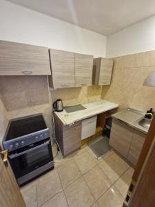 a small kitchen with a stove and a sink at Apartmány BRETZ in Vrbov +58 photos