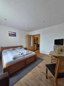 a bedroom with a bed and a desk and a television at Apartmány BRETZ in Vrbov