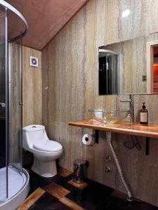 a bathroom with a toilet and a sink and a shower at Hotel Boutique La Casa de Coco in Gorbea