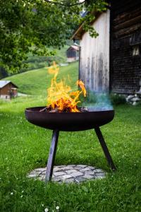 a fire pit in the grass in a yard at Haus Glatthorn in Faschina