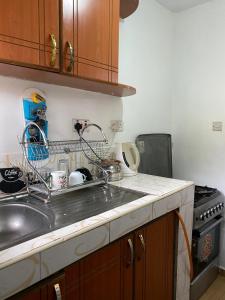 a kitchen with a sink and a counter top at Suki Ruaka Homes in Ruaka