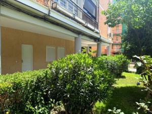 a building with bushes in front of a building at Hostale Blas Cabrera Madrid in Madrid