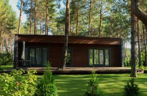 a small cabin in the woods with a green yard at Grace Place in Soshnikov