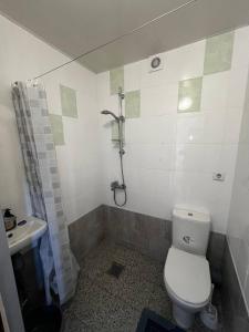 a bathroom with a toilet and a shower and a sink at Хостел in Sumy +9 photos