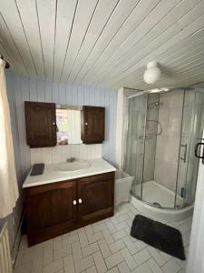 a bathroom with a sink and a shower at Bay View Ridge Cottage in Bantry +41 photos