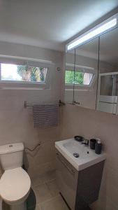 a bathroom with a toilet and a sink and a mirror at Mini-maison indépendante vue montagne- Corse in Poggio-Marinaccio +41 photos