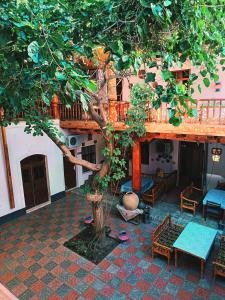 an outdoor patio with a tree and a wooden deck at Hotel Nazira & Azizbek in Bukhara