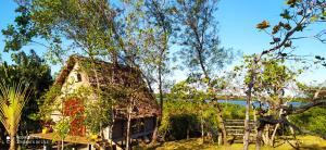a house with trees in front of it at Caban Zenfants in Sainte Marie