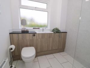 a bathroom with a toilet and a sink and a window at Trem Y Foel in Penrhyndeudreath +27 photos